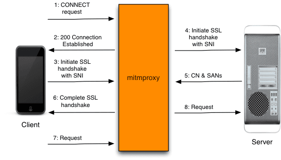 how mitmproxy works explicit https